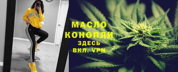 тгк Каменногорск