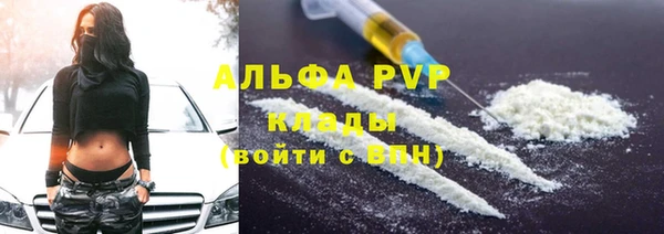 тгк Каменногорск