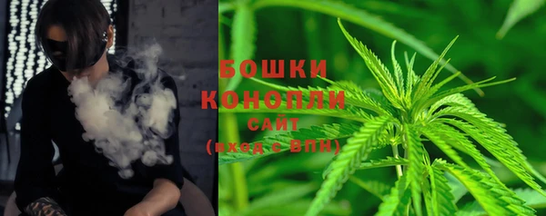 спиды Каменка