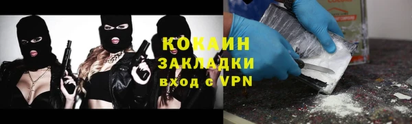 спиды Каменка