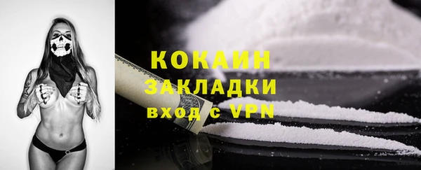 тгк Каменногорск