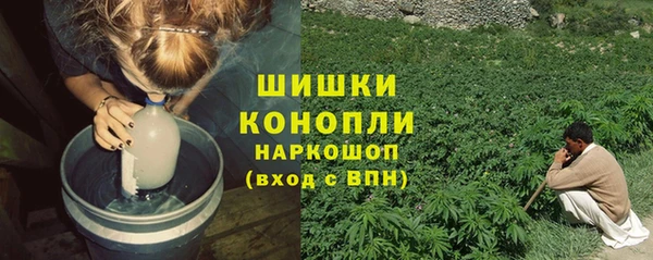 спиды Каменка