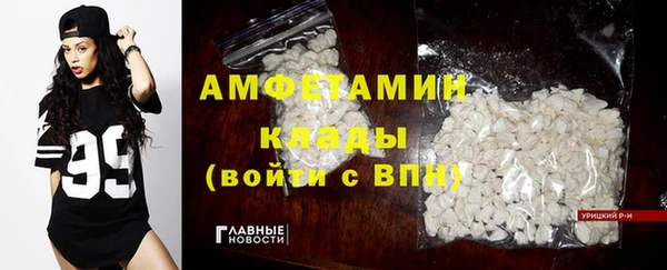 тгк Каменногорск