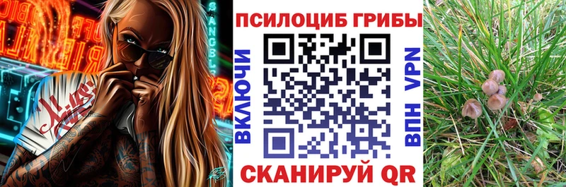 где можно купить наркотик  Ижевск  Галлюциногенные грибы мицелий 